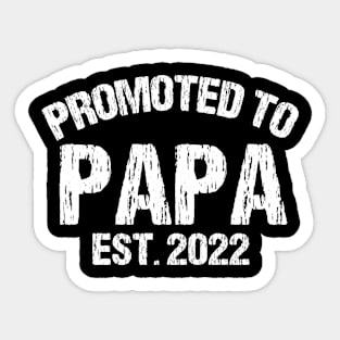 Promoted to Papa Est 2022 Sticker